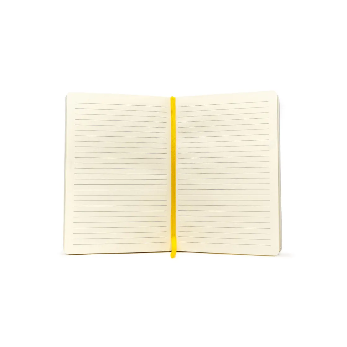 Journals-Critical Role Exandria Unlimited Journal